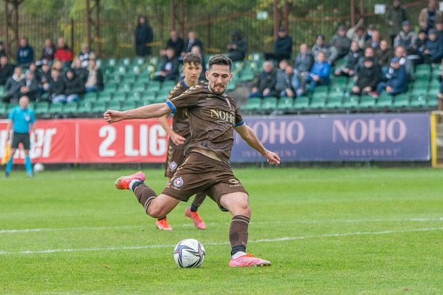 入新的活力 入新的活力