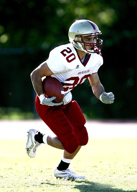 的支持下 的支持下