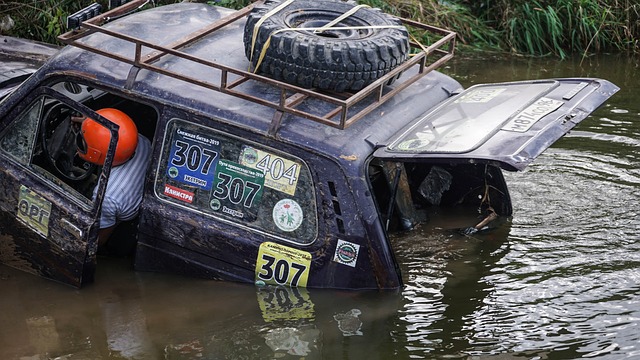 这种开放的 这种开放的