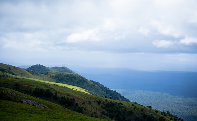 再到社区互 再到社区互