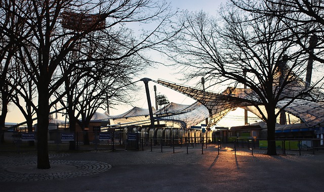 同参与晨跑 同参与晨跑